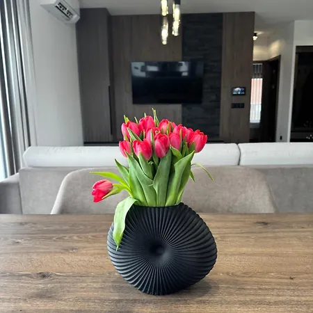 Bodu Vendeghaz Balatonberény