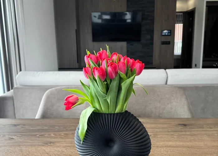 Bodu Vendeghaz Balatonberény